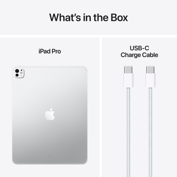 ПЛАНШЕТ IPAD PRO 13 WF CL 256GB SLVR-ISP