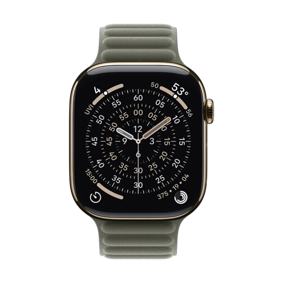 46mm Sage Gray Magnetic Link - S/M