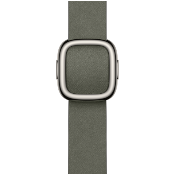42mm Sage Gray Modern Buckle - Small