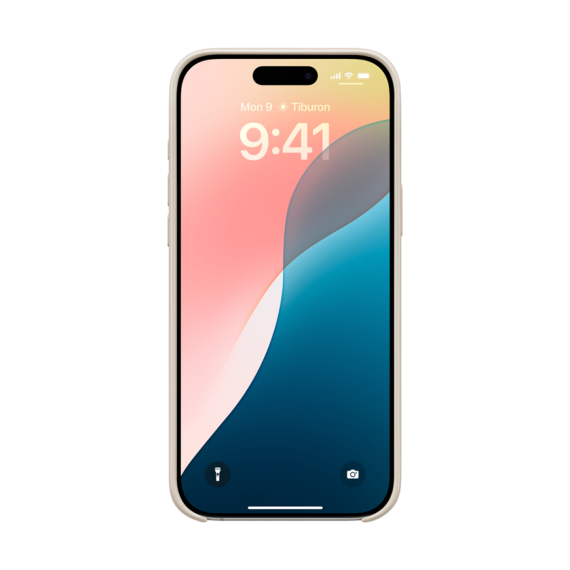 ЧОХОЛ BEATS IPHONE 16 PRO MAX CASE STONE-USA