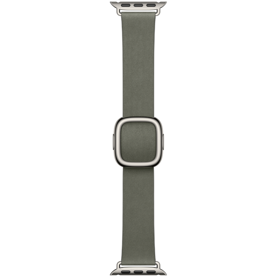 42mm Sage Gray Modern Buckle - Small