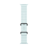 РЕМІНЕЦЬ ДЛЯ ГОДИННИКА APPLE WATCH 49 ICE BLUE BLACK TI OB-ZML