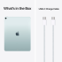 13-inch iPad Air M4 Wi-Fi + Cellular 512GB - Blue,Model A3462