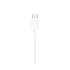 НАВУШНИКИ EARPODS (USB-C)-ZML