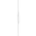 НАВУШНИКИ EARPODS (USB-C)-ZML