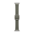 42mm Sage Gray Modern Buckle - Small