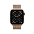 ГОДИННИК APPLE WATCH 11 42 GOLD TI GD ML CEL-RKZ