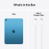 ПЛАНШЕТ IPAD WIFI 256GB BLU-ISP
