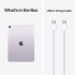 11-inch iPad Air M4 Wi-Fi + Cellular 1TB - Purple,Model A3460